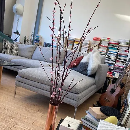 Apartmán Un Loft Avec Verriere Sous Les Toits